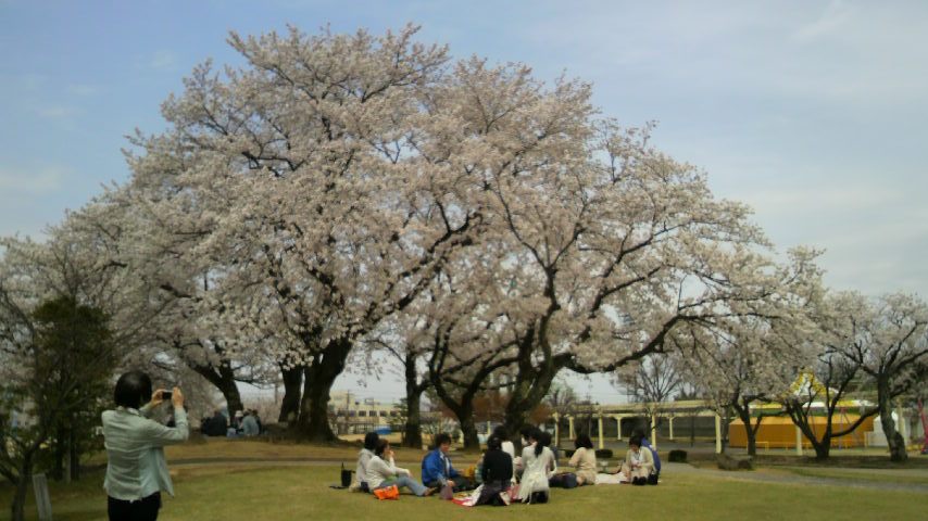 http://e-tamaya.sakura.ne.jp/2011/04/17/P1000021.JPG